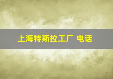 上海特斯拉工厂 电话